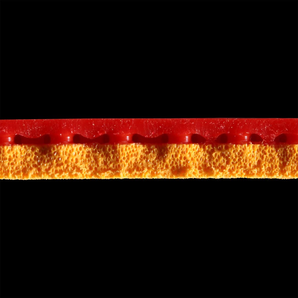 5097_c52c4f1328-dragon-power-525-sponge-2-full